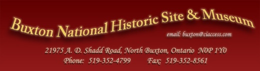 Buxton Museum Website