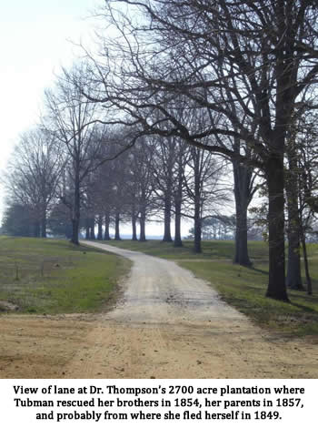 Tubman's labour camp