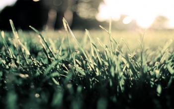 The House that Isaac Built: The Architecture of Cultures and Identities in Canada